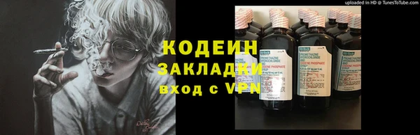 прущие грибы Армянск